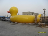 Imagen Thumbnail para big duck 2.jpg